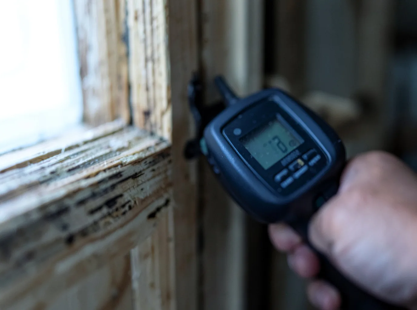 Moisture Inspection And Documentation in Terril, IA